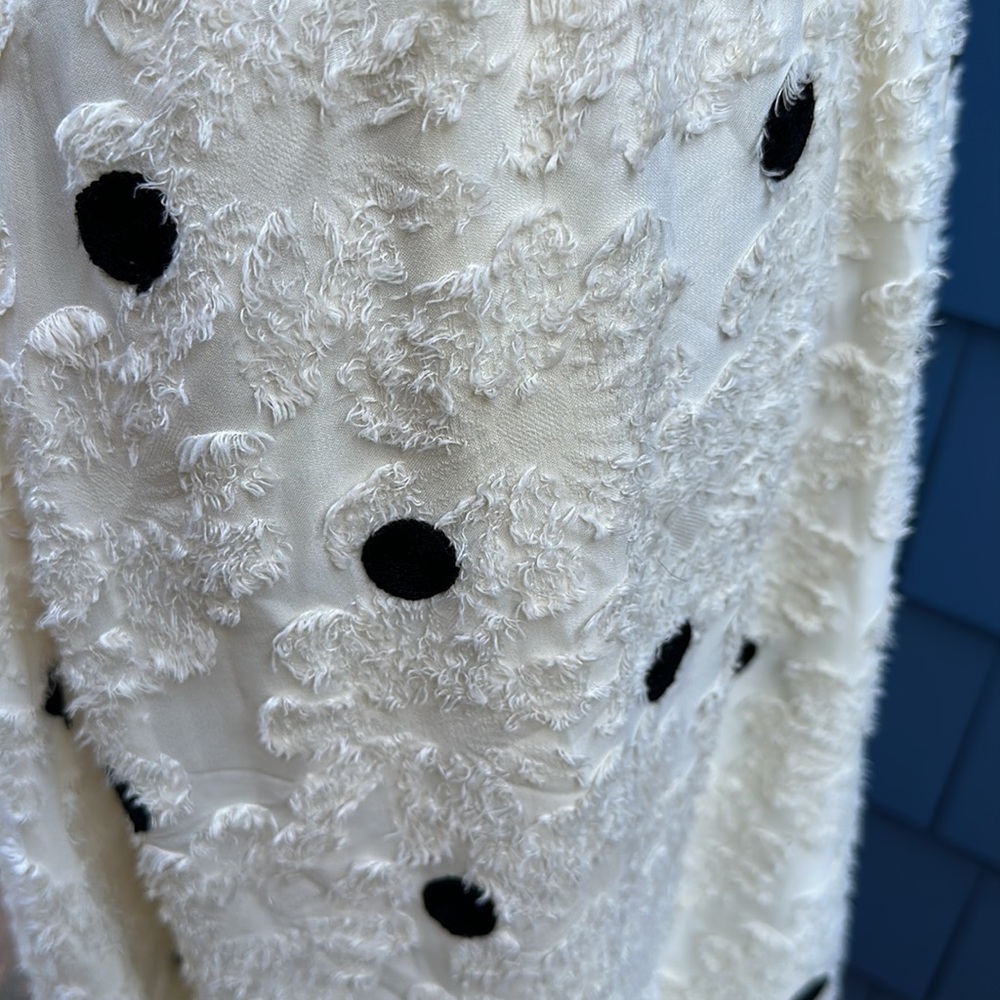 Annthropologie Eri + Ali Andrea Textured Polka Dot Midi Skirt - Picture 6 of 6